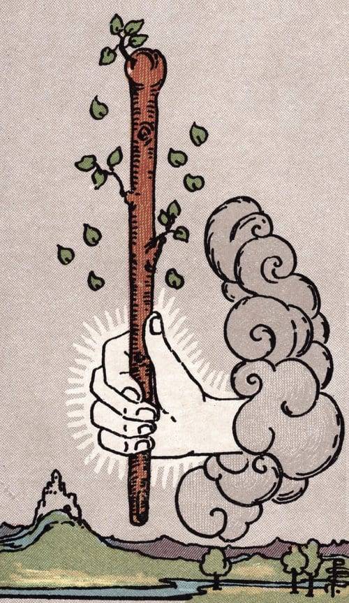 Ace of Wands - Waite Smith