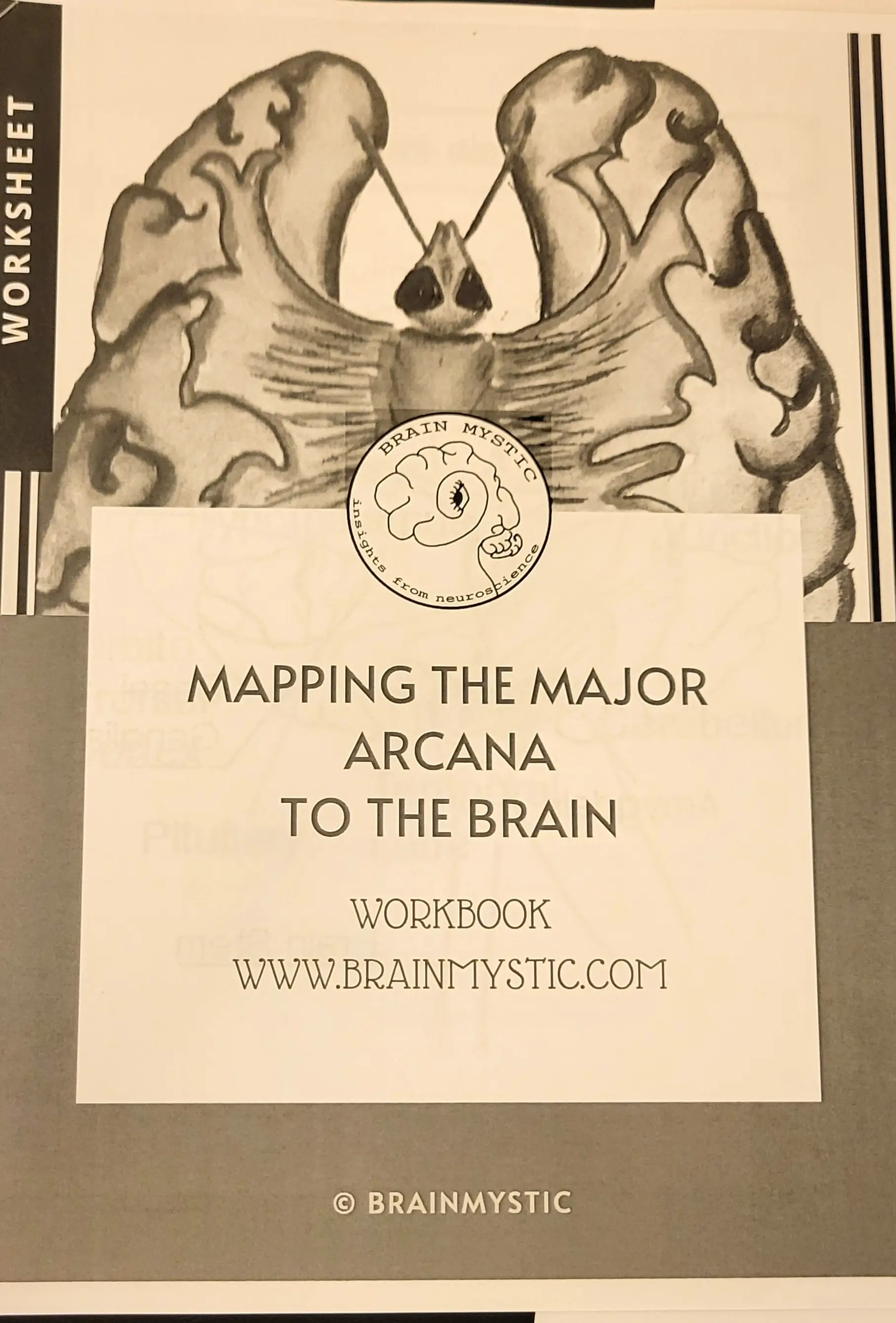 Mapping the Major Arcana to the Brain